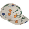 Liewood Kasket - Rory Printed Cap - Dinosaurs/Mist